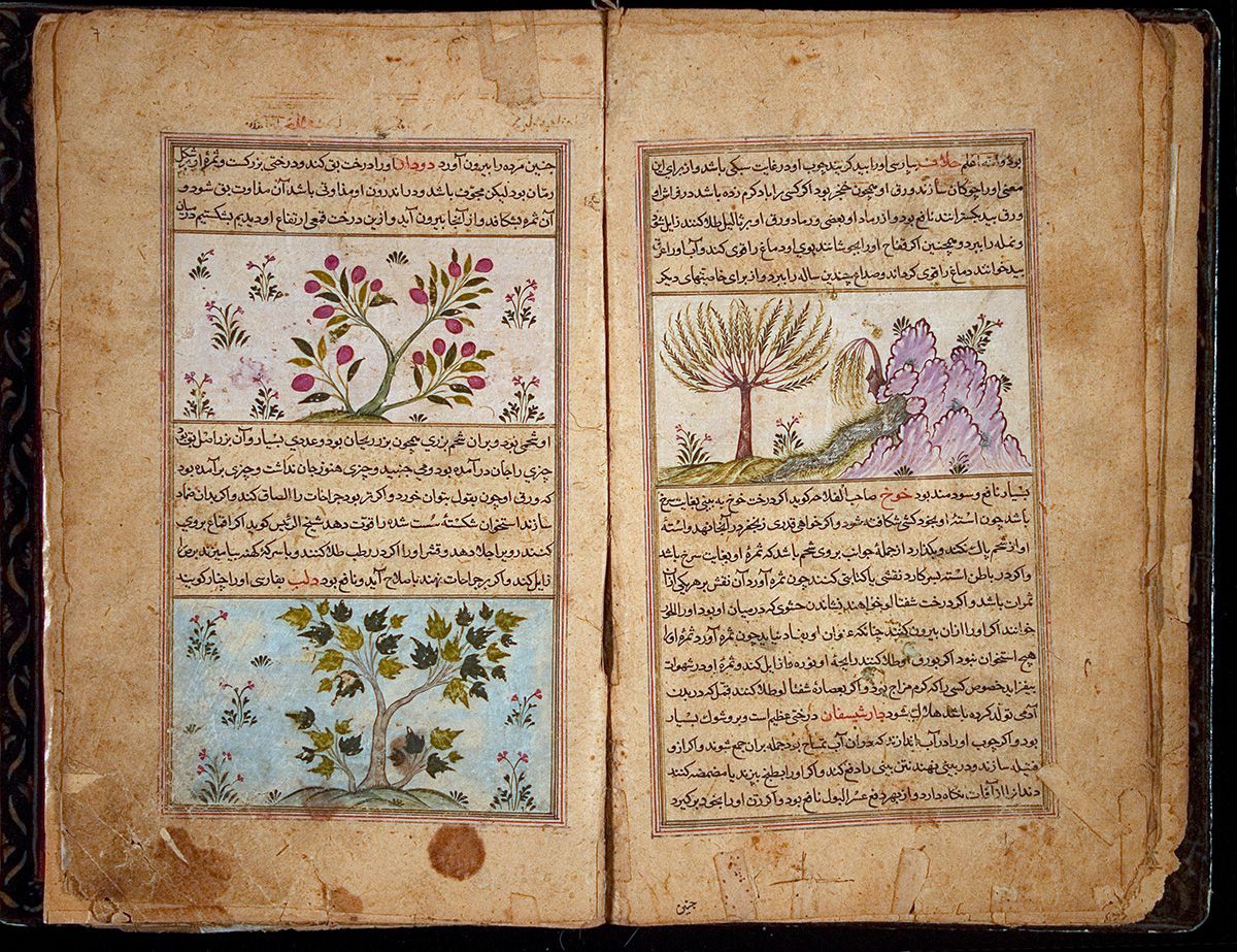 Perzisch_Herbarium