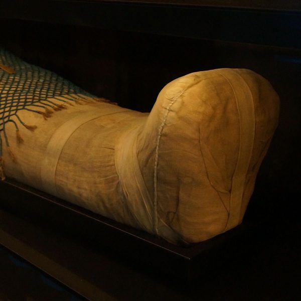 Mummie Anchhor